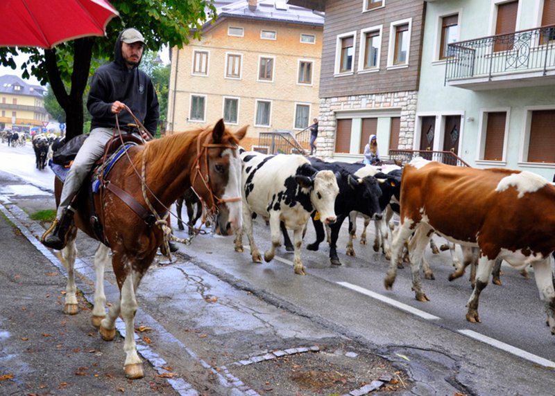 asiago-retorno (12)